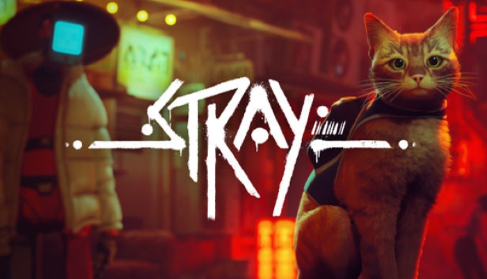 Stray', la aventura felina llega a Xbox – Periodismo ULL