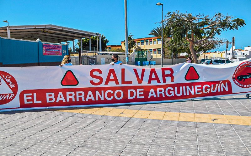 Salvar Chira Soria