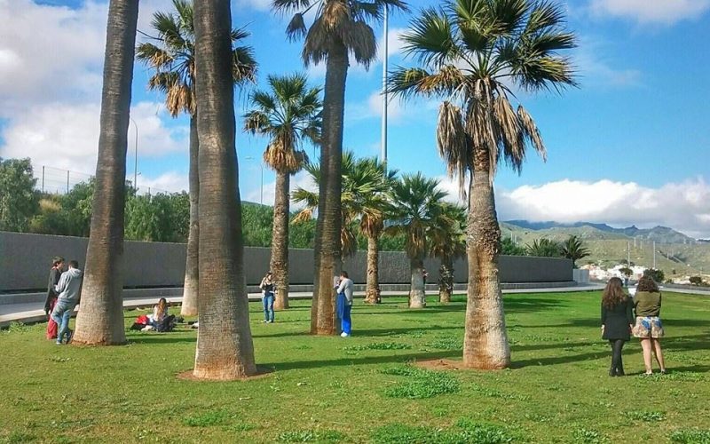 Teatroscopia actuará en la Facultad de Bellas Artes