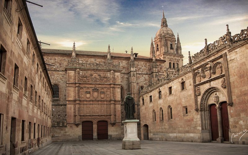La Universidad de Salamanca avala los programas propios de investigación