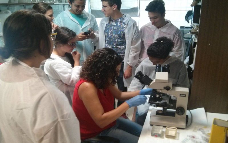 Imagen obtenida de los archivos de La Universidad de La Laguna