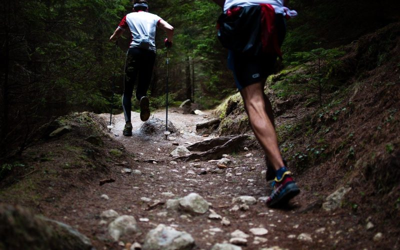 Es la tercera vez que Canarias acoge este campeonato. Foto: PULL