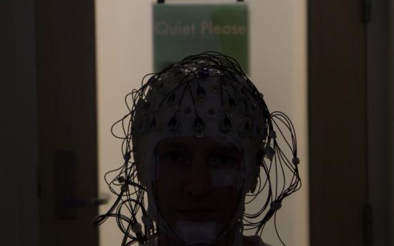 Análisis del cerebro