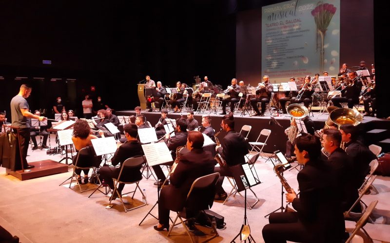 Banda Insular