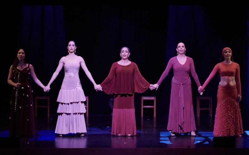 Anabel Estévez, Cristina Rivero,  Marta Fernández, Carolina Eusa y Rocío Pozo.