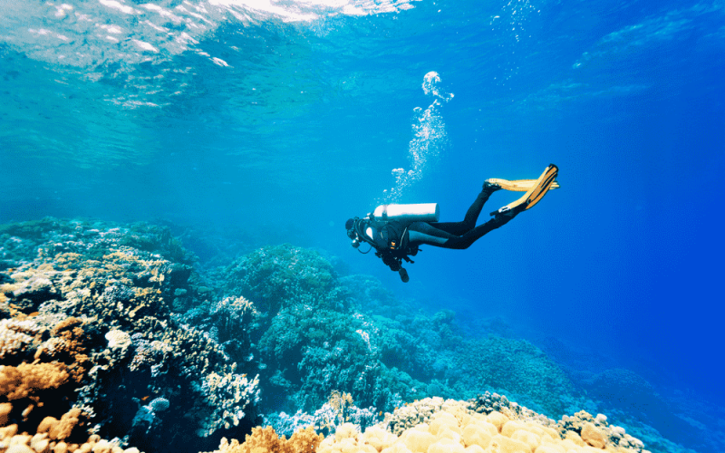 El buceo es uno de los deportes más practicados en la isla herreña. Foto: PULL