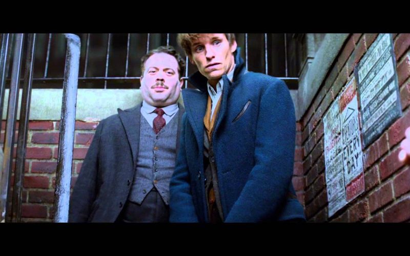 ‘Animales fantásticos y dónde encontrarlos’, otro mágico mundo de J. K Rowling