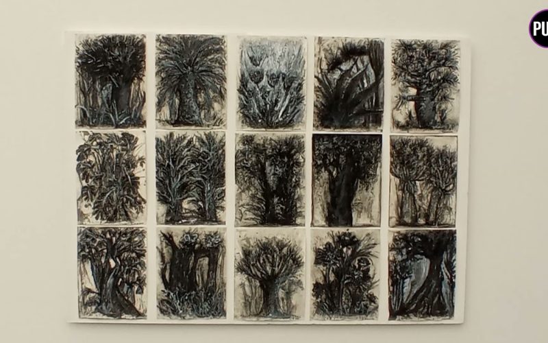 ‘Coraza vegetal’