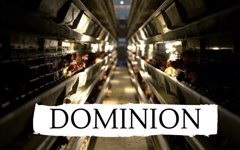 ‘Dominion’, el documental sobre maltrato animal que  dejó boquiabierta a la ULL