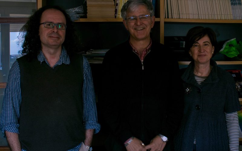 Grupo investigación