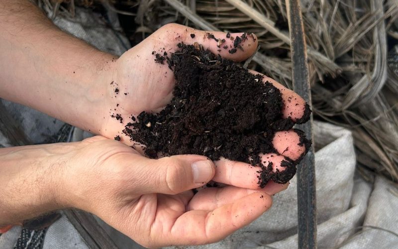 Abono ecológico