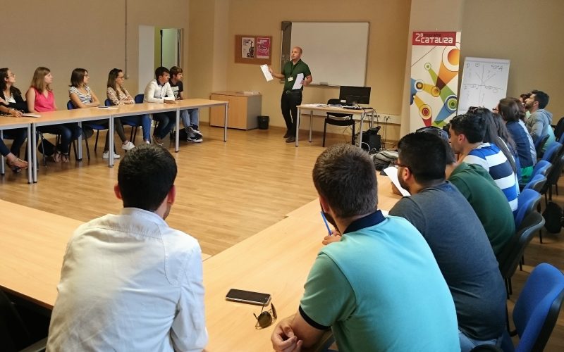 Becas de inserción Cataliza