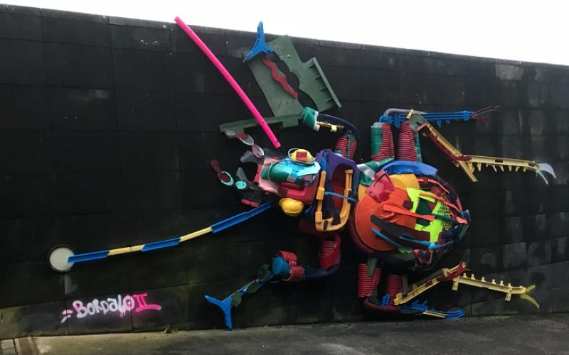 Un escarabajo gigante en el entorno del Parque Rural de Anaga