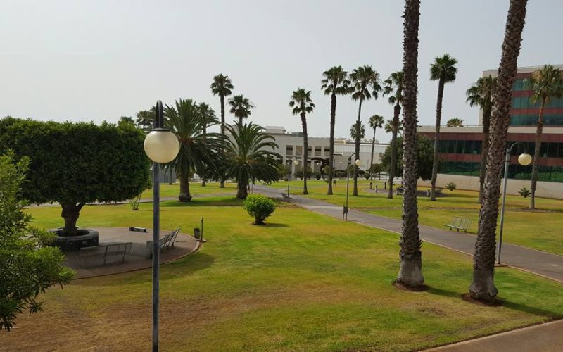 Campus de Guajara