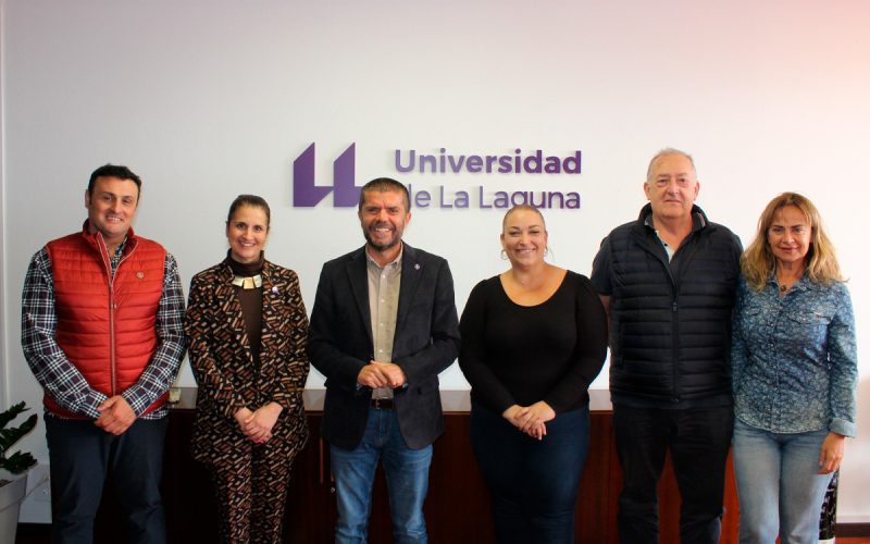 Catedra Enfermeria