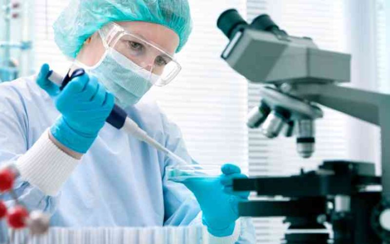 Investigación