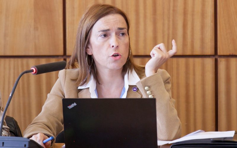 Cons-Gobierno-28-9-10