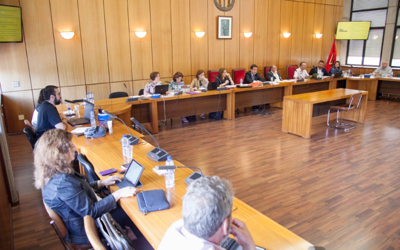 Cons-Gobierno-29-6-02