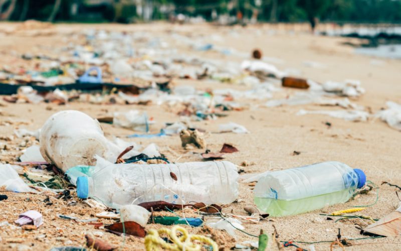 Una media de 8 millones de toneladas de deshechos son vertidas cada año a los océanos. Foto: PULL