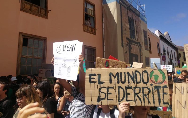Manifestantes en las calles de La Laguna