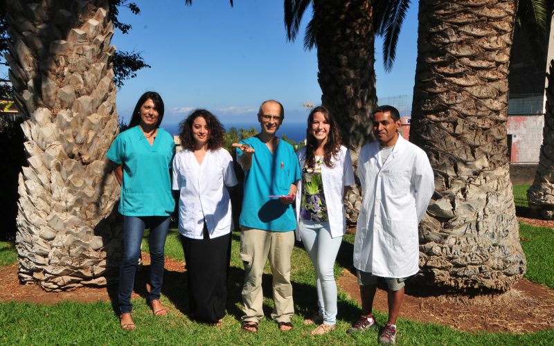 "Canarias es una de las pocas regiones que no ha organizado un Instituto de Investigación Sanitaria"