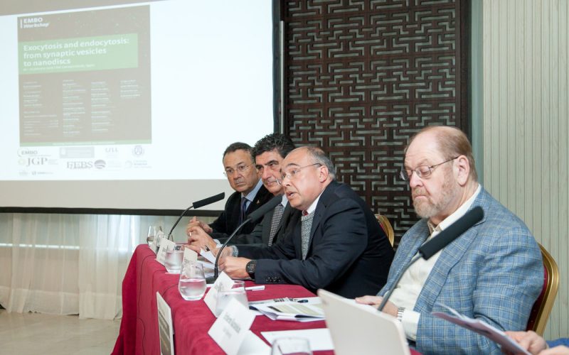 EMBO-Workshop-17