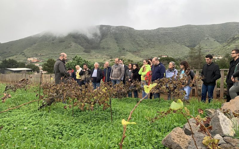 Sesión del especialista en Viticultura y Enología, y Gestión Enoturística de la ULL