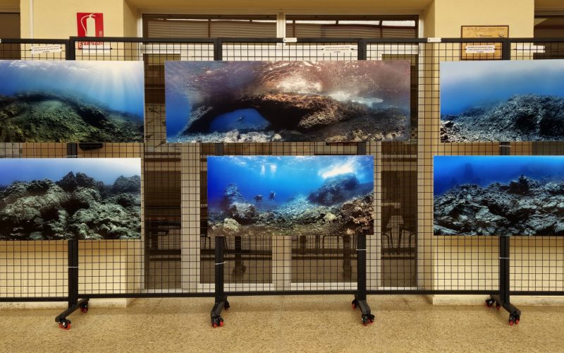 Exposición Biología ULL