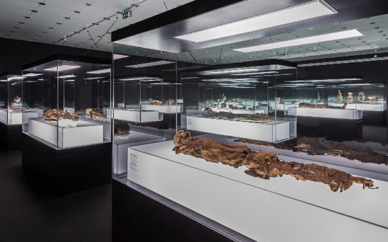 Exposición Athanatos, Museo de la Naturaleza y el Hombre