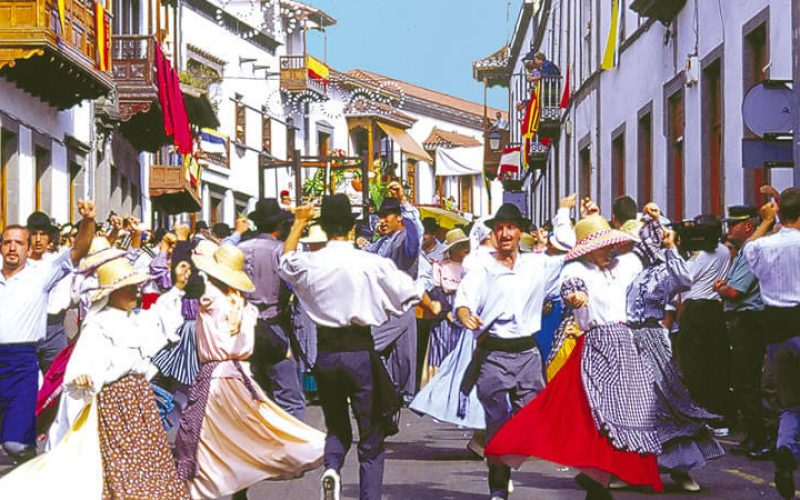 La actividad se impartirá los días 11 y 12 de noviembre de forma telemática. Foto: PULL