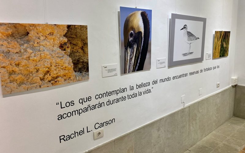 Las exposiciones de la ‘I Jornada de Biodiversidad Canaria’ crean conciencia