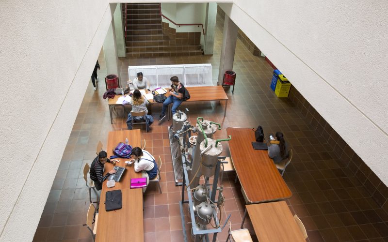 Facultad Química estudio empleo