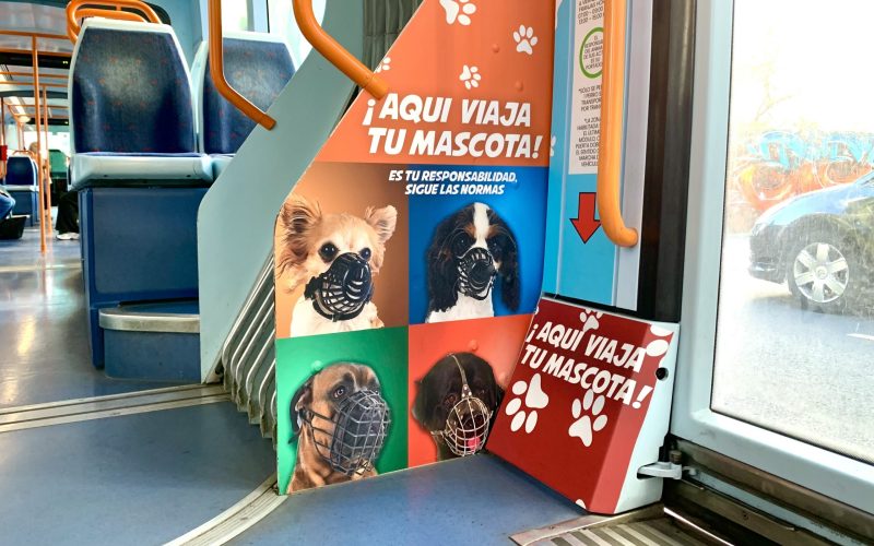 Perros en medios de transporte