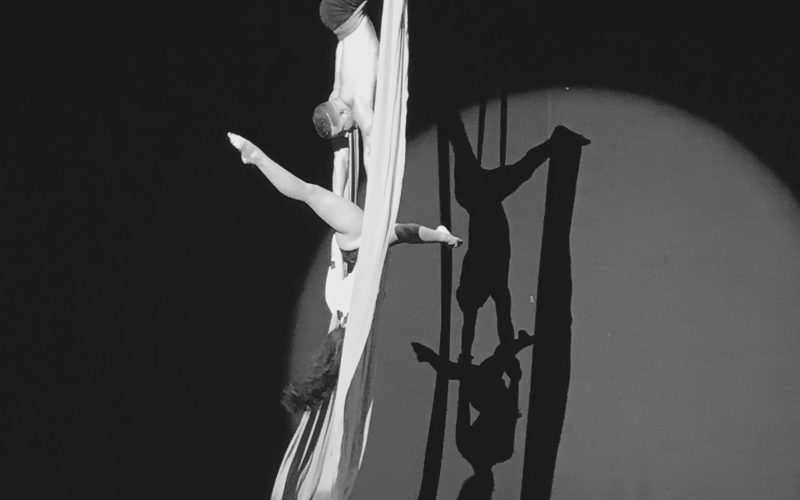 IMG_1147