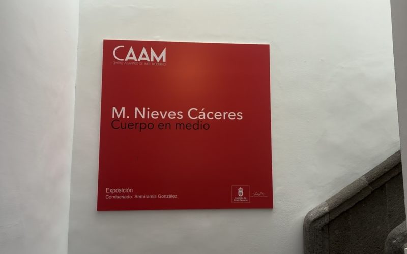 María Nieves Cáceres en en el Centro Atlántico de Arte Moderno