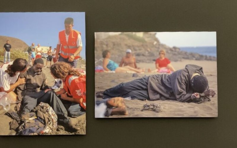 migración