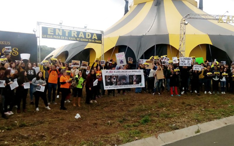 Los manifestantes en la protesta de ayer