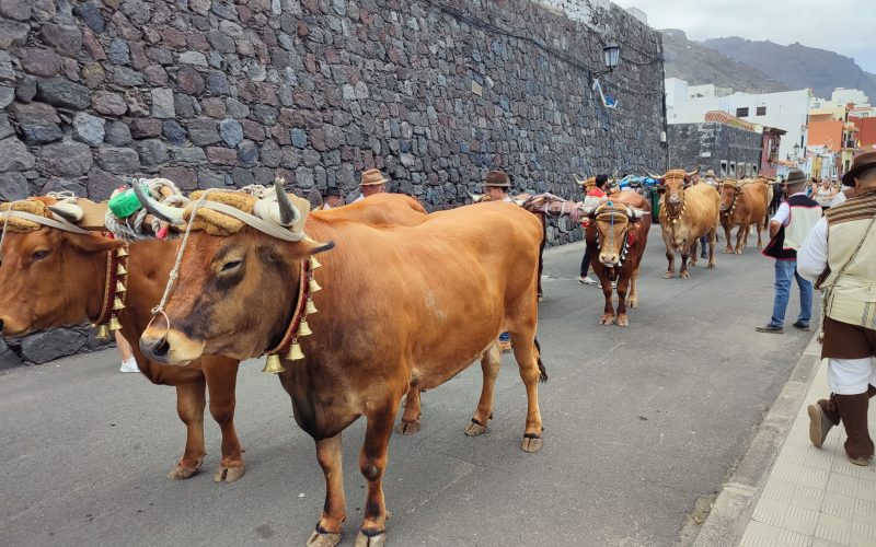 Romería San Roque de Garachico