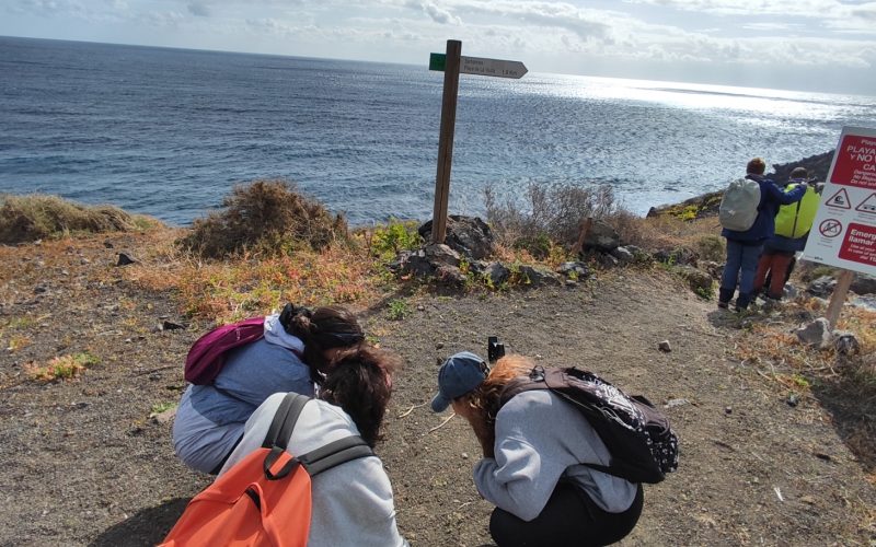 seguimiento de caracoles terrestres o chuchangas de Tenerife