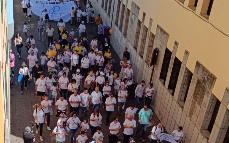 Marcha Solidaria 'Pequeño Valiente' 2024