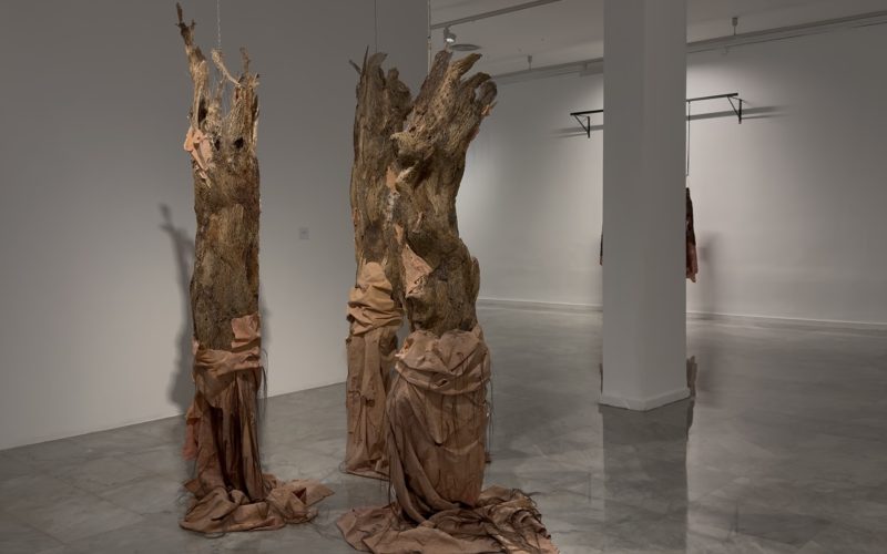 Lo liminal: La piel y el acontecimiento