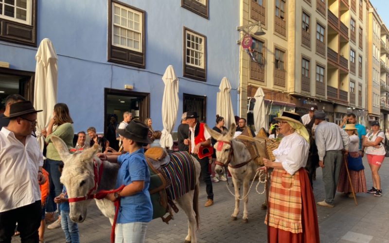 Noche de los burros