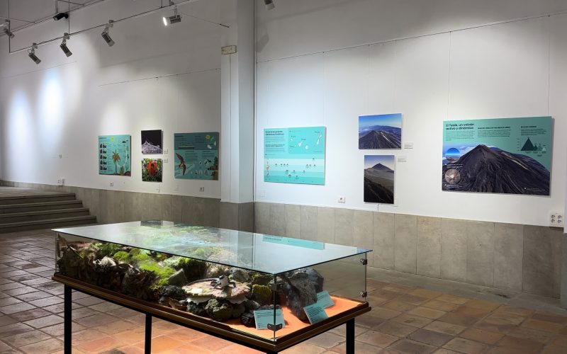 Explorando la biodiversidad volcánica de Canarias