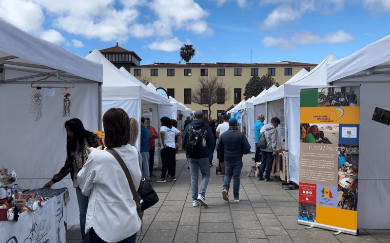 VII Feria del Voluntariado
