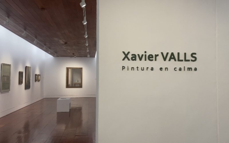 La exposición estará disponible hasta el 24 de febrero. Foto: A. Delgado