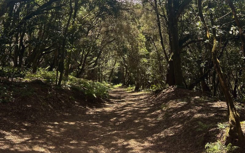 Sendero