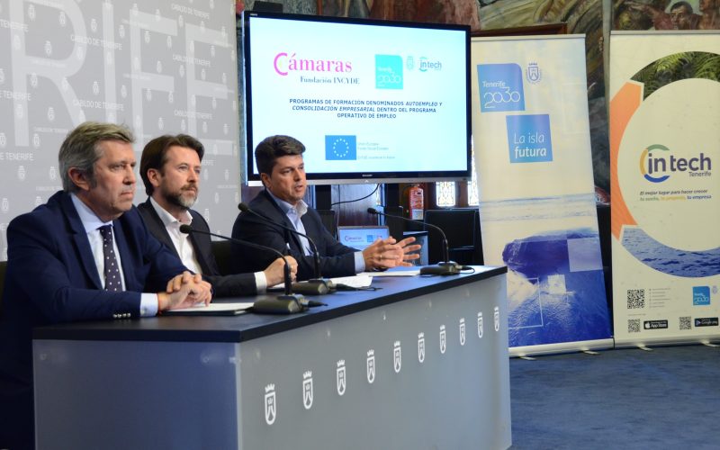 Cabildo y la Fundación Incyde impulsan un programa sobre ciberseguridad y emprendimiento
