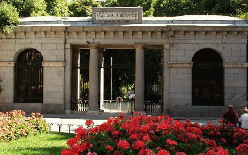 Real Jardín Botánico de Madrid