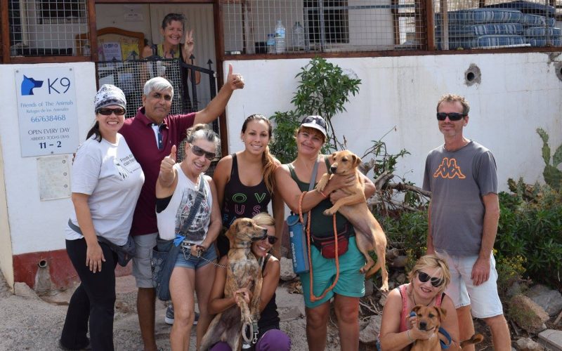 La Feria de San Valentín, mañana domingo en el refugio de animales K9