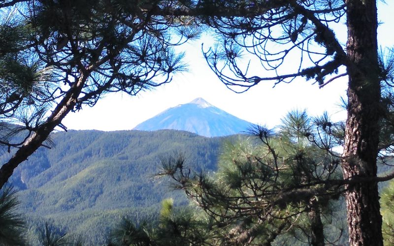 La Orotava acogerá las jornadas sobre riesgo volcánico organizadas por INVOLCAN